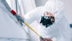 Reliable Guttenberg, NJ Pest control Solutions